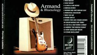 Armand & Bluesology - Where Did The Dream Go