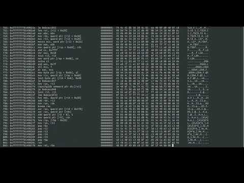 Fuzzing Linux on Xen