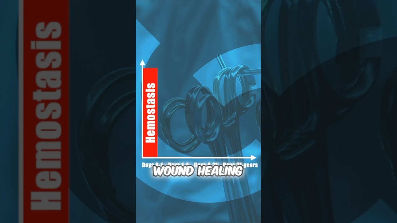 Wound Healing - Phase 1 Hemostasis