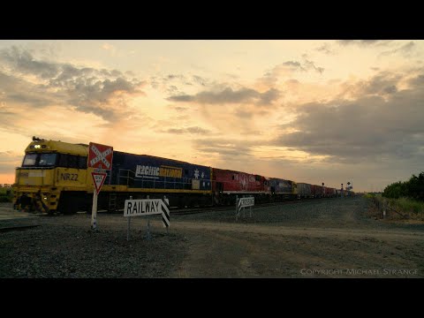 Pacific National 1PM5 Freight Train (14/10/2020) - PoathTV Australian Railways
