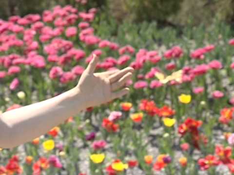 Parvin Mahmadyor umri man