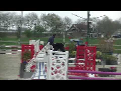 jumping houten