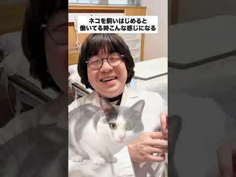 ネコを飼いはじめると働いてる時こんな感じになる