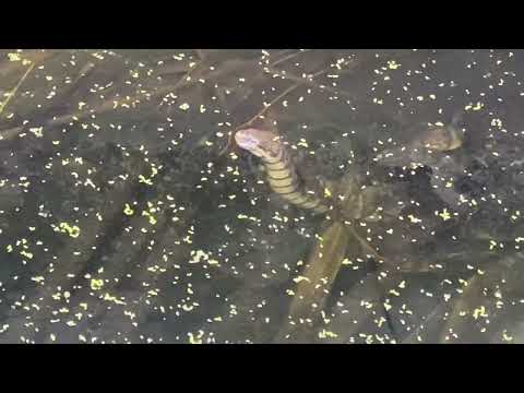 34E0511A A311 4117 BF31 36EA54F3823D