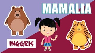 Belajar Mengenal Nama-nama Hewan Mamalia dalam Bahasa Inggris Bagian 2 | Bunbun Learning Mammals