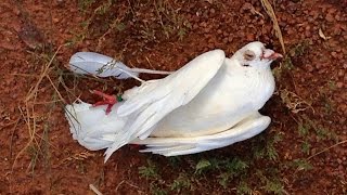 US Senator James Inhofe Holds Cruel Fundraiser