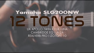 Video thumbnail for Yamaha SLG200NW silent guitar™ - 12 Tones | Lex Von Sumayo by LVS Works TV