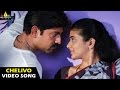 Pellaina Kothalo Songs Chelivo Na Video Song Jagapathi Babu Priyamani Sri Balaji Video