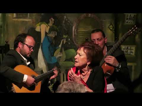 Florinda Maria - "Saudade, deixa-me em paz" (Domingos Gonçalves da Costa / Júlio Proença)