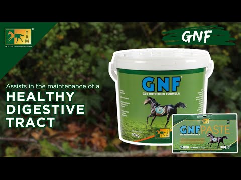 GNF - Digestion Supplement 
