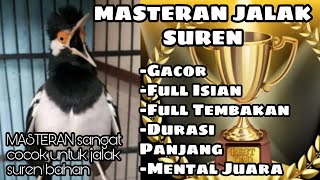 Download lagu JALAK SUREN GACOR FULL ISIAN DURASI PANJANG TEMBAKAN KENCANG || COCOK UNTUK MASTERAN || BURUNG JUARA mp3