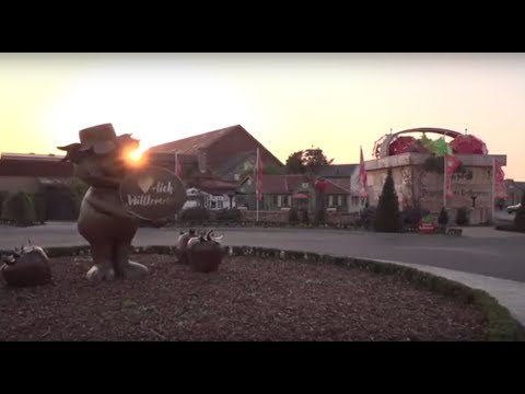 AOK-Talk zur Digitalisierung auf Karls Erdbeerhof