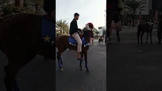 Download lagu SITUATION OF KUNINGAN CITY PARK, WEST JAVA IN THE MORNING #VIRAL #KITES #CFDKUNINGAN #TAMKOTKUNINGAN mp3 Download lagu SITUATION OF KUNINGAN CITY PARK, WEST JAVA IN THE MORNING #VIRAL #KITES #CFDKUNINGAN #TAMKOTKUNINGAN mp3