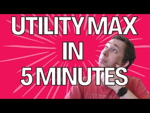 Master Utility Maximization in 5 Minutes | Micro Struggle