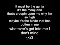 Eminem-Must be the ganja Lyrics