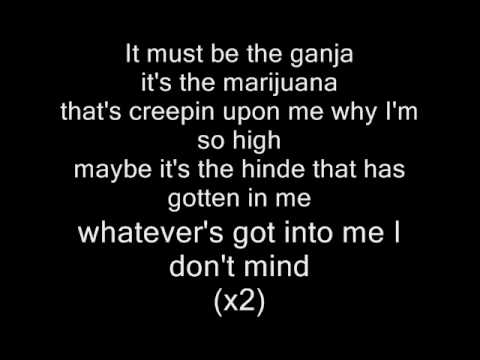 Eminem-Must be the ganja Lyrics