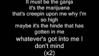 Eminem-Must be the ganja Lyrics