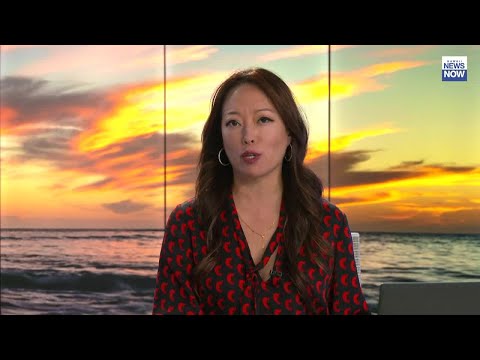 HNN News Brief (Jan. 3, 2023)