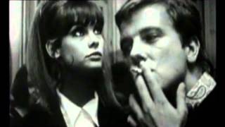 THE HIGH NUMBERS - Zoot Suit