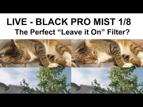 Tiffen Black Pro Mist 1/8 - The Perfect Cinematic Look Filter to Leave On?