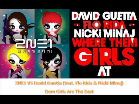 2NE1 VS David Guetta (feat. Flo Rida & Nicki Minaj) - Dem Girls Are The Best