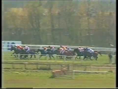 1990 Eglinton Cup Novices' Handicap Chase