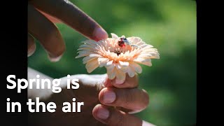 Pandora Spring is in the air