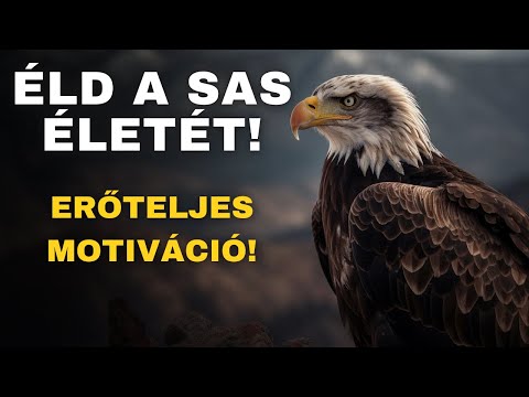 MOTIVÁCIÓ | A sas gondolkodásmód ereje | Legjobb motiváció a mindennapokra