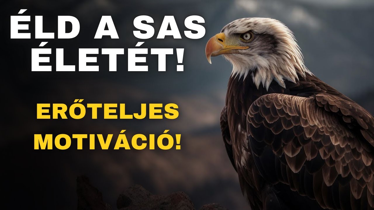MOTIVÁCIÓ | A sas gondolkodásmód ereje | Legjobb motiváció a mindennapokra