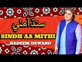 Sindh Aa Mithi Nadeem Ali Deewano Dedar Ja Nasha Unjaro A He Dewano Senay Main Aa Dil