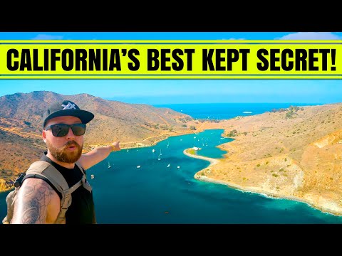 Exploring a Hidden TROPICAL PARADISE in California (Catalina Island)