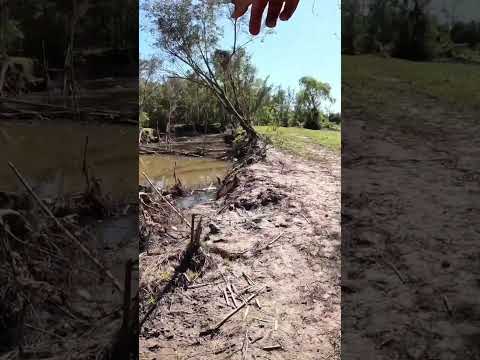 Este lugar CAMBIO TOTALMENTE!! LOS GOMEZ PESCA Y COCINA #pesca #fishing #fish #tucuman #argentina