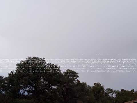 Gone By: 3MV3 (Prod. CapsCtrl)