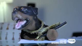 Triumph The Insult Comic Dog Takes on 'Guys Choice'