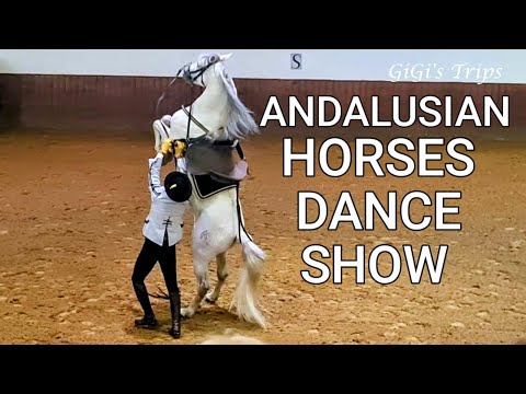 Jerez de la Frontera - Andalusian Horses Dance Show - The Royal Andalusian School of Equestrian Art