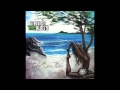 Through The Roots - Take You There