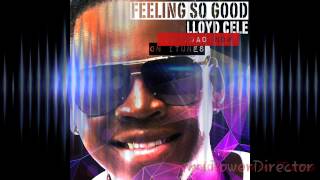 Lloyd Cele  - Feeling so good