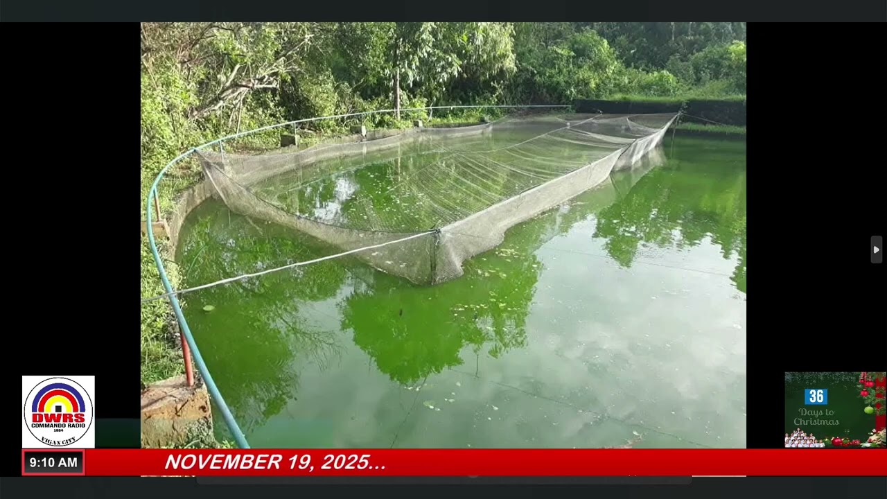 PANNANGPABILEG TI TILAPIA INDUSTRY MAIPAPAAY BABAEN TI TULONG TI HATCHERY TI ILI A SAN VICENTE
