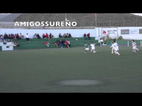 U.D. GUARGACHO -A- U.D. IBARRA-A-1-4-2014