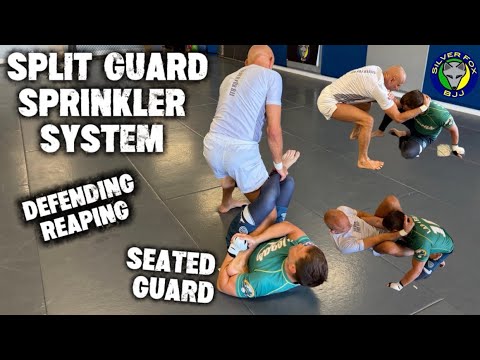 Split Guard , Heel Hook Defense & Seated Guard 🦊 S:8-Ep:32 👊 #rollwiththefox