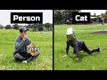People Vs Cats (Part 1-2)