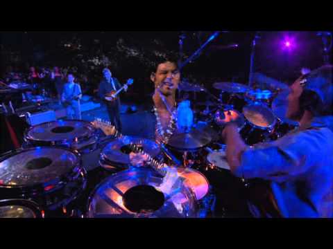 Roger Waters snowy white & doyle bramhall 2)