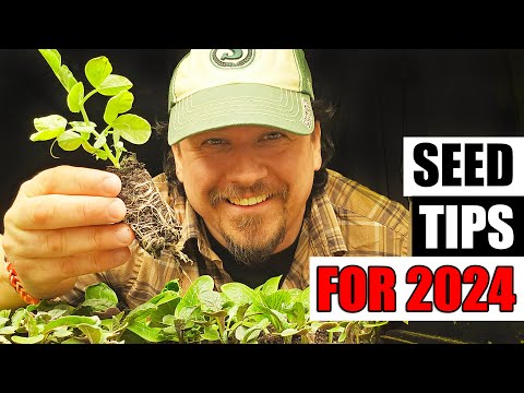 How To Grow Cucumbers Part 1 Seeding