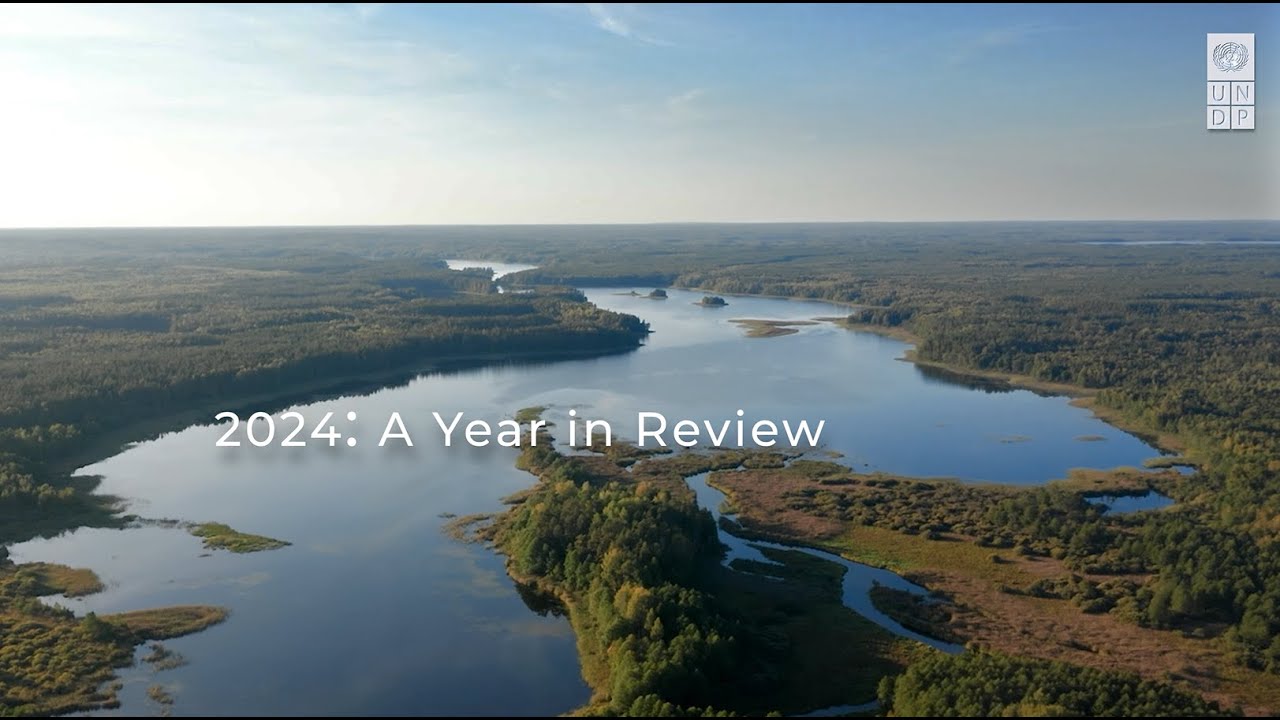 2024: A Year in Review