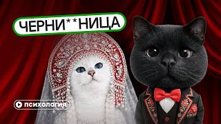 Расовые предрассудки в отношениях: от страха вырождения до романтизации