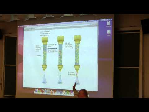 Ahern's BB 350 at OSU - 7. Protein Purification