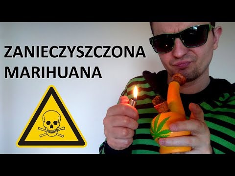Jak rozpoznać zanieczyszczoną MARIHUANĘ? | PRZEMEK ZAWADZKI