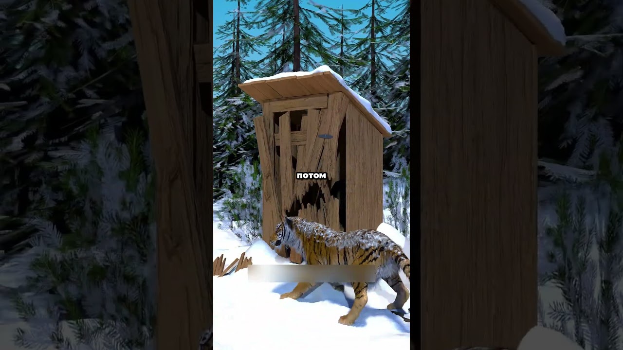 Интересная история