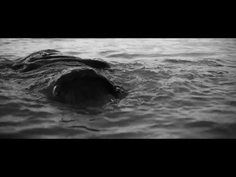 Raheem Bakare - Purple Sky feat. Tanika (Official Video)