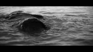 Raheem Bakare - Purple Sky feat. Tanika (Official Video)